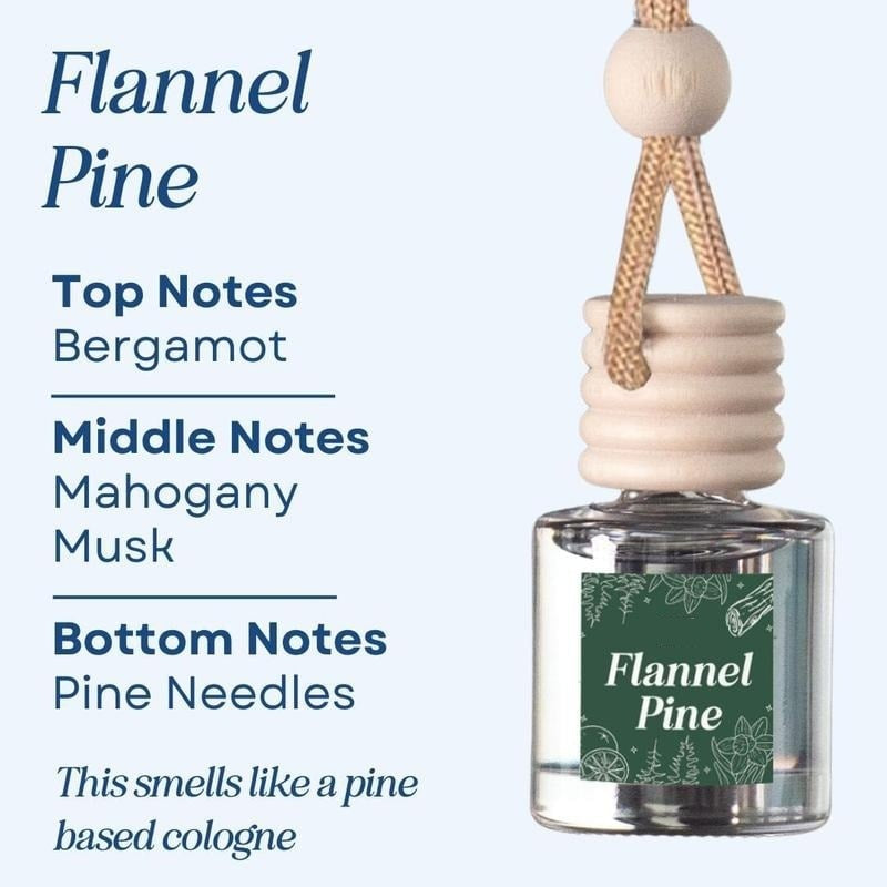 🍃Scented Car Air Freshener