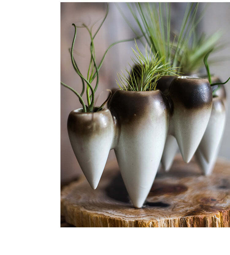 Suspended Hydroponic Vase