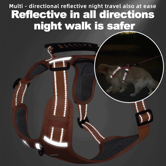 🔥Last Day Promotion 49% OFF🔥 - No Pull Dog Harness for Pets