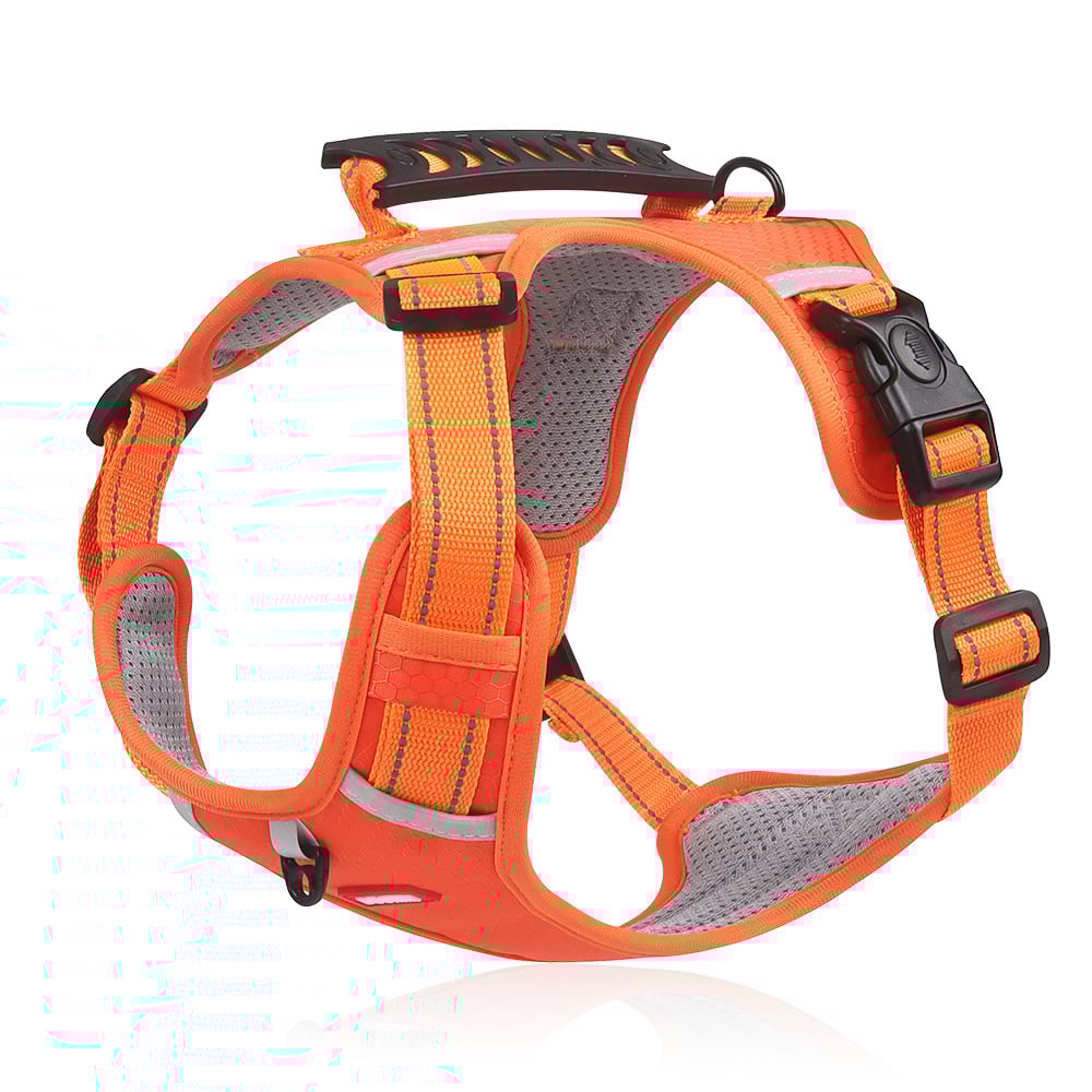 🔥Last Day Promotion 49% OFF🔥 - No Pull Dog Harness for Pets