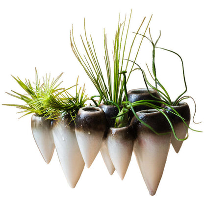 Suspended Hydroponic Vase