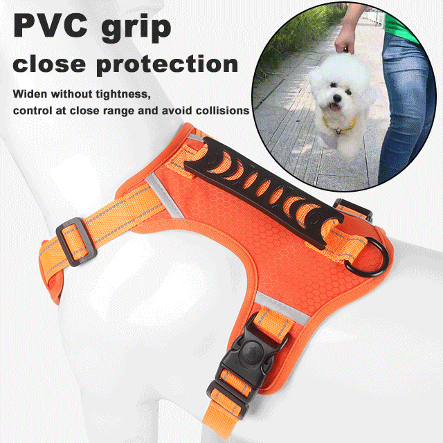 🔥Last Day Promotion 49% OFF🔥 - No Pull Dog Harness for Pets