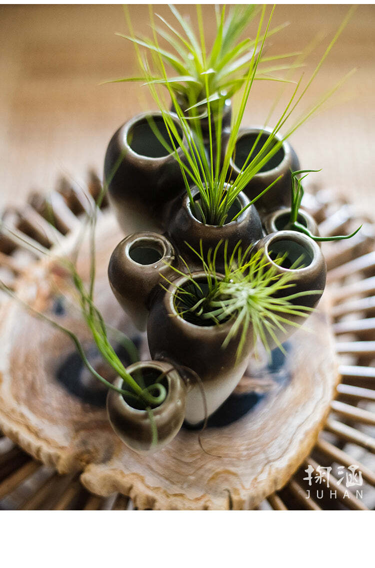 Suspended Hydroponic Vase